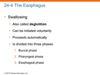 © 2012 Pearson Education, Inc.
24-4 The Esophagus
• Swallowing
• Also called deglutition
• Can be initiated voluntarily
• Proceeds automatically
• Is divided into three phases
1. Buccal phase
2. Pharyngeal phase
3. Esophageal phase
 