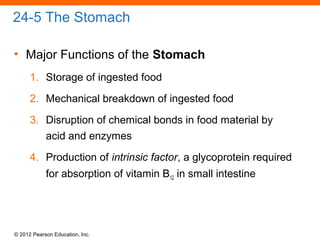 © 2012 Pearson Education, Inc.
24-5 The Stomach
• Major Functions of the Stomach
1. Storage of ingested food
2. Mechanical breakdown of ingested food
3. Disruption of chemical bonds in food material by
acid and enzymes
4. Production of intrinsic factor, a glycoprotein required
for absorption of vitamin B12 in small intestine
 