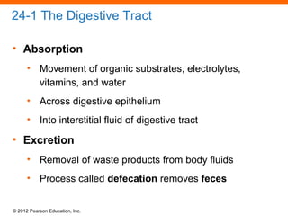 © 2012 Pearson Education, Inc.
24-1 The Digestive Tract
• Absorption
• Movement of organic substrates, electrolytes,
vitamins, and water
• Across digestive epithelium
• Into interstitial fluid of digestive tract
• Excretion
• Removal of waste products from body fluids
• Process called defecation removes feces
 