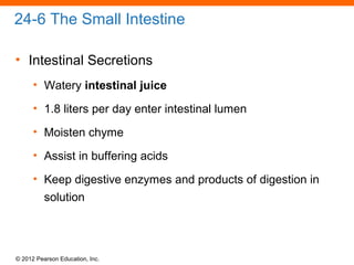 © 2012 Pearson Education, Inc.
24-6 The Small Intestine
• Intestinal Secretions
• Watery intestinal juice
• 1.8 liters per day enter intestinal lumen
• Moisten chyme
• Assist in buffering acids
• Keep digestive enzymes and products of digestion in
solution
 