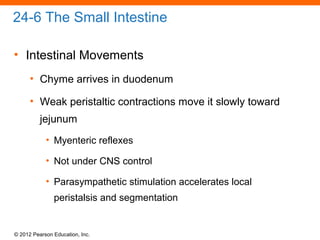 © 2012 Pearson Education, Inc.
24-6 The Small Intestine
• Intestinal Movements
• Chyme arrives in duodenum
• Weak peristaltic contractions move it slowly toward
jejunum
• Myenteric reflexes
• Not under CNS control
• Parasympathetic stimulation accelerates local
peristalsis and segmentation
 