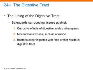 © 2012 Pearson Education, Inc.
24-1 The Digestive Tract
• The Lining of the Digestive Tract
• Safeguards surrounding tissues against:
1. Corrosive effects of digestive acids and enzymes
2. Mechanical stresses, such as abrasion
3. Bacteria either ingested with food or that reside in
digestive tract
 