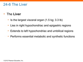 © 2012 Pearson Education, Inc.
24-6 The Liver
• The Liver
• Is the largest visceral organ (1.5 kg; 3.3 lb)
• Lies in right hypochondriac and epigastric regions
• Extends to left hypochondriac and umbilical regions
• Performs essential metabolic and synthetic functions
 