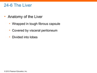 © 2012 Pearson Education, Inc.
24-6 The Liver
• Anatomy of the Liver
• Wrapped in tough fibrous capsule
• Covered by visceral peritoneum
• Divided into lobes
 