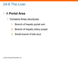 © 2012 Pearson Education, Inc.
24-6 The Liver
• A Portal Area
• Contains three structures
1. Branch of hepatic portal vein
2. Branch of hepatic artery proper
3. Small branch of bile duct
 