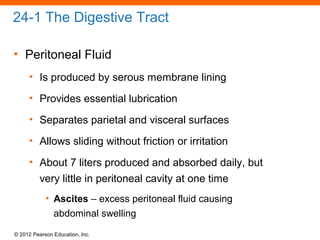 © 2012 Pearson Education, Inc.
24-1 The Digestive Tract
• Peritoneal Fluid
• Is produced by serous membrane lining
• Provides essential lubrication
• Separates parietal and visceral surfaces
• Allows sliding without friction or irritation
• About 7 liters produced and absorbed daily, but
very little in peritoneal cavity at one time
• Ascites – excess peritoneal fluid causing
abdominal swelling
 