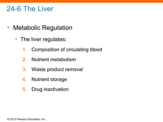 © 2012 Pearson Education, Inc.
24-6 The Liver
• Metabolic Regulation
• The liver regulates:
1. Composition of circulating blood
2. Nutrient metabolism
3. Waste product removal
4. Nutrient storage
5. Drug inactivation
 