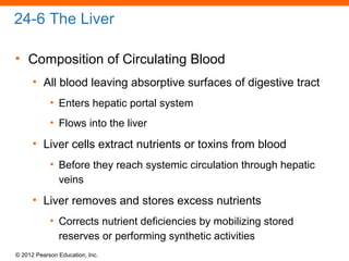 © 2012 Pearson Education, Inc.
24-6 The Liver
• Composition of Circulating Blood
• All blood leaving absorptive surfaces of digestive tract
• Enters hepatic portal system
• Flows into the liver
• Liver cells extract nutrients or toxins from blood
• Before they reach systemic circulation through hepatic
veins
• Liver removes and stores excess nutrients
• Corrects nutrient deficiencies by mobilizing stored
reserves or performing synthetic activities
 