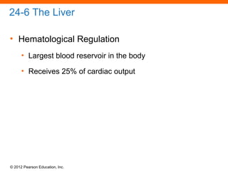 © 2012 Pearson Education, Inc.
24-6 The Liver
• Hematological Regulation
• Largest blood reservoir in the body
• Receives 25% of cardiac output
 