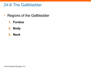 © 2012 Pearson Education, Inc.
24-6 The Gallbladder
• Regions of the Gallbladder
1. Fundus
2. Body
3. Neck
 