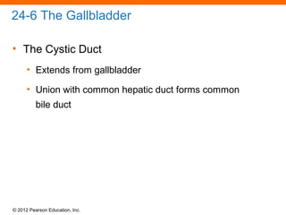 © 2012 Pearson Education, Inc.
24-6 The Gallbladder
• The Cystic Duct
• Extends from gallbladder
• Union with common hepatic duct forms common
bile duct
 