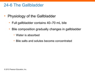 © 2012 Pearson Education, Inc.
24-6 The Gallbladder
• Physiology of the Gallbladder
• Full gallbladder contains 40–70 mL bile
• Bile composition gradually changes in gallbladder
• Water is absorbed
• Bile salts and solutes become concentrated
 