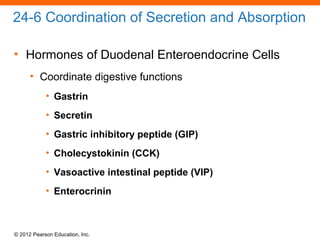 © 2012 Pearson Education, Inc.
24-6 Coordination of Secretion and Absorption
• Hormones of Duodenal Enteroendocrine Cells
• Coordinate digestive functions
• Gastrin
• Secretin
• Gastric inhibitory peptide (GIP)
• Cholecystokinin (CCK)
• Vasoactive intestinal peptide (VIP)
• Enterocrinin
 