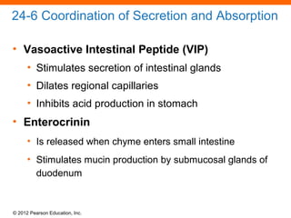 © 2012 Pearson Education, Inc.
24-6 Coordination of Secretion and Absorption
• Vasoactive Intestinal Peptide (VIP)
• Stimulates secretion of intestinal glands
• Dilates regional capillaries
• Inhibits acid production in stomach
• Enterocrinin
• Is released when chyme enters small intestine
• Stimulates mucin production by submucosal glands of
duodenum
 