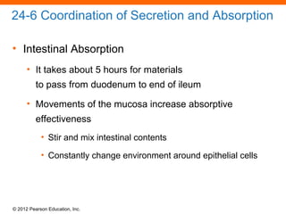 © 2012 Pearson Education, Inc.
24-6 Coordination of Secretion and Absorption
• Intestinal Absorption
• It takes about 5 hours for materials
to pass from duodenum to end of ileum
• Movements of the mucosa increase absorptive
effectiveness
• Stir and mix intestinal contents
• Constantly change environment around epithelial cells
 