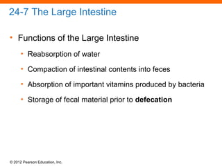 © 2012 Pearson Education, Inc.
24-7 The Large Intestine
• Functions of the Large Intestine
• Reabsorption of water
• Compaction of intestinal contents into feces
• Absorption of important vitamins produced by bacteria
• Storage of fecal material prior to defecation
 