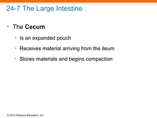 © 2012 Pearson Education, Inc.
24-7 The Large Intestine
• The Cecum
• Is an expanded pouch
• Receives material arriving from the ileum
• Stores materials and begins compaction
 