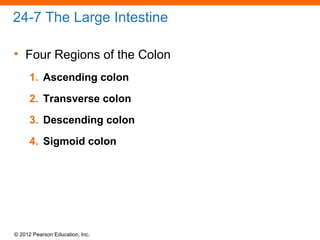 © 2012 Pearson Education, Inc.
24-7 The Large Intestine
• Four Regions of the Colon
1. Ascending colon
2. Transverse colon
3. Descending colon
4. Sigmoid colon
 