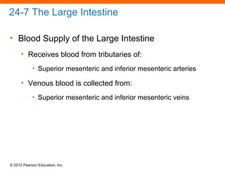 © 2012 Pearson Education, Inc.
24-7 The Large Intestine
• Blood Supply of the Large Intestine
• Receives blood from tributaries of:
• Superior mesenteric and inferior mesenteric arteries
• Venous blood is collected from:
• Superior mesenteric and inferior mesenteric veins
 