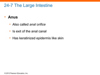 © 2012 Pearson Education, Inc.
24-7 The Large Intestine
• Anus
• Also called anal orifice
• Is exit of the anal canal
• Has keratinized epidermis like skin
 