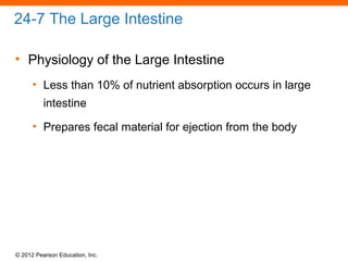 © 2012 Pearson Education, Inc.
24-7 The Large Intestine
• Physiology of the Large Intestine
• Less than 10% of nutrient absorption occurs in large
intestine
• Prepares fecal material for ejection from the body
 