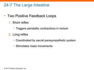 © 2012 Pearson Education, Inc.
24-7 The Large Intestine
• Two Positive Feedback Loops
1. Short reflex
• Triggers peristaltic contractions in rectum
2. Long reflex
• Coordinated by sacral parasympathetic system
• Stimulates mass movements
 