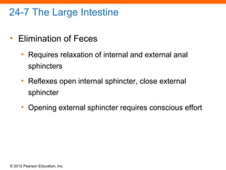 © 2012 Pearson Education, Inc.
24-7 The Large Intestine
• Elimination of Feces
• Requires relaxation of internal and external anal
sphincters
• Reflexes open internal sphincter, close external
sphincter
• Opening external sphincter requires conscious effort
 