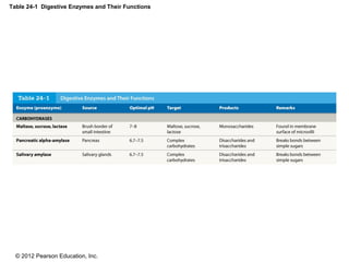 © 2012 Pearson Education, Inc.
Table 24-1 Digestive Enzymes and Their Functions
 