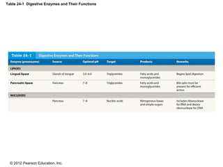 © 2012 Pearson Education, Inc.
Table 24-1 Digestive Enzymes and Their Functions
 