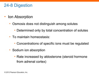 © 2012 Pearson Education, Inc.
24-8 Digestion
• Ion Absorption
• Osmosis does not distinguish among solutes
• Determined only by total concentration of solutes
• To maintain homeostasis:
• Concentrations of specific ions must be regulated
• Sodium ion absorption
• Rate increased by aldosterone (steroid hormone
from adrenal cortex)
 