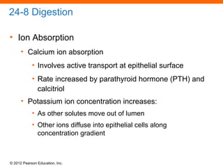 © 2012 Pearson Education, Inc.
24-8 Digestion
• Ion Absorption
• Calcium ion absorption
• Involves active transport at epithelial surface
• Rate increased by parathyroid hormone (PTH) and
calcitriol
• Potassium ion concentration increases:
• As other solutes move out of lumen
• Other ions diffuse into epithelial cells along
concentration gradient
 