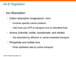© 2012 Pearson Education, Inc.
24-8 Digestion
• Ion Absorption
• Cation absorption (magnesium, iron)
• Involves specific carrier proteins
• Cell must use ATP to transport ions to interstitial fluid
• Anions (chloride, iodide, bicarbonate, and nitrate)
• Are absorbed by diffusion or carrier-mediated transport
• Phosphate and sulfate ions
• Enter epithelial cells by active transport
 