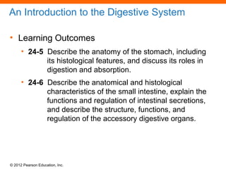 © 2012 Pearson Education, Inc.
An Introduction to the Digestive System
• Learning Outcomes
• 24-5 Describe the anatomy of the stomach, including
its histological features, and discuss its roles in
digestion and absorption.
• 24-6 Describe the anatomical and histological
characteristics of the small intestine, explain the
functions and regulation of intestinal secretions,
and describe the structure, functions, and
regulation of the accessory digestive organs.
 