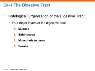 © 2012 Pearson Education, Inc.
24-1 The Digestive Tract
• Histological Organization of the Digestive Tract
• Four major layers of the digestive tract
1. Mucosa
2. Submucosa
3. Muscularis externa
4. Serosa
 