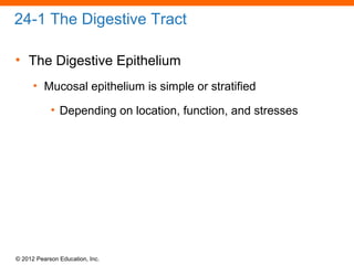 © 2012 Pearson Education, Inc.
24-1 The Digestive Tract
• The Digestive Epithelium
• Mucosal epithelium is simple or stratified
• Depending on location, function, and stresses
 