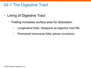 © 2012 Pearson Education, Inc.
24-1 The Digestive Tract
• Lining of Digestive Tract
• Folding increases surface area for absorption
• Longitudinal folds, disappear as digestive tract fills
• Permanent transverse folds (plicae circulares)
 