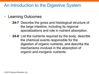 © 2012 Pearson Education, Inc.
An Introduction to the Digestive System
• Learning Outcomes
• 24-7 Describe the gross and histological structure of
the large intestine, including its regional
specializations and role in nutrient absorption.
• 24-8 List the nutrients required by the body, describe
the chemical events responsible for the
digestion of organic nutrients, and describe the
mechanisms involved in the absorption of
organic and inorganic nutrients.
 