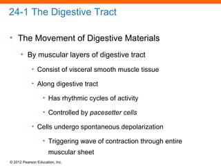 © 2012 Pearson Education, Inc.
24-1 The Digestive Tract
• The Movement of Digestive Materials
• By muscular layers of digestive tract
• Consist of visceral smooth muscle tissue
• Along digestive tract
• Has rhythmic cycles of activity
• Controlled by pacesetter cells
• Cells undergo spontaneous depolarization
• Triggering wave of contraction through entire
muscular sheet
 