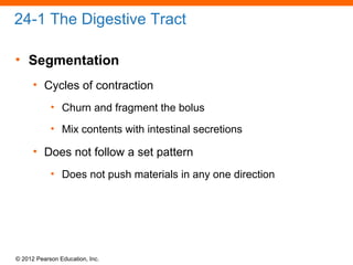 © 2012 Pearson Education, Inc.
24-1 The Digestive Tract
• Segmentation
• Cycles of contraction
• Churn and fragment the bolus
• Mix contents with intestinal secretions
• Does not follow a set pattern
• Does not push materials in any one direction
 