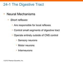 © 2012 Pearson Education, Inc.
24-1 The Digestive Tract
• Neural Mechanisms
• Short reflexes
• Are responsible for local reflexes
• Control small segments of digestive tract
• Operate entirely outside of CNS control
• Sensory neurons
• Motor neurons
• Interneurons
 