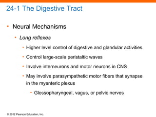© 2012 Pearson Education, Inc.
24-1 The Digestive Tract
• Neural Mechanisms
• Long reflexes
• Higher level control of digestive and glandular activities
• Control large-scale peristaltic waves
• Involve interneurons and motor neurons in CNS
• May involve parasympathetic motor fibers that synapse
in the myenteric plexus
• Glossopharyngeal, vagus, or pelvic nerves
 