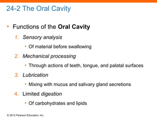 © 2012 Pearson Education, Inc.
24-2 The Oral Cavity
• Functions of the Oral Cavity
1. Sensory analysis
• Of material before swallowing
2. Mechanical processing
• Through actions of teeth, tongue, and palatal surfaces
3. Lubrication
• Mixing with mucus and salivary gland secretions
4. Limited digestion
• Of carbohydrates and lipids
 