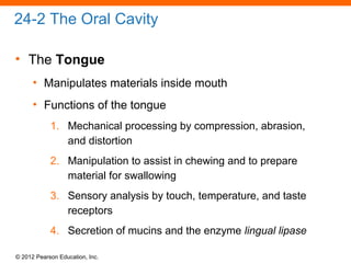 © 2012 Pearson Education, Inc.
24-2 The Oral Cavity
• The Tongue
• Manipulates materials inside mouth
• Functions of the tongue
1. Mechanical processing by compression, abrasion,
and distortion
2. Manipulation to assist in chewing and to prepare
material for swallowing
3. Sensory analysis by touch, temperature, and taste
receptors
4. Secretion of mucins and the enzyme lingual lipase
 