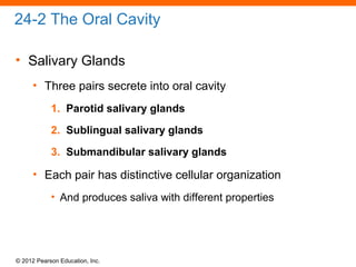 © 2012 Pearson Education, Inc.
24-2 The Oral Cavity
• Salivary Glands
• Three pairs secrete into oral cavity
1. Parotid salivary glands
2. Sublingual salivary glands
3. Submandibular salivary glands
• Each pair has distinctive cellular organization
• And produces saliva with different properties
 