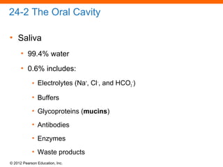 © 2012 Pearson Education, Inc.
24-2 The Oral Cavity
• Saliva
• 99.4% water
• 0.6% includes:
• Electrolytes (Na+
, Cl−
, and HCO3
−
)
• Buffers
• Glycoproteins (mucins)
• Antibodies
• Enzymes
• Waste products
 