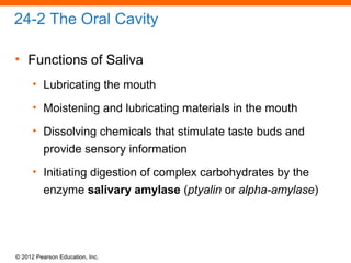 © 2012 Pearson Education, Inc.
24-2 The Oral Cavity
• Functions of Saliva
• Lubricating the mouth
• Moistening and lubricating materials in the mouth
• Dissolving chemicals that stimulate taste buds and
provide sensory information
• Initiating digestion of complex carbohydrates by the
enzyme salivary amylase (ptyalin or alpha-amylase)
 