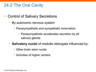 © 2012 Pearson Education, Inc.
24-2 The Oral Cavity
• Control of Salivary Secretions
• By autonomic nervous system
• Parasympathetic and sympathetic innervation
• Parasympathetic accelerates secretion by all
salivary glands
• Salivatory nuclei of medulla oblongata influenced by:
• Other brain stem nuclei
• Activities of higher centers
 