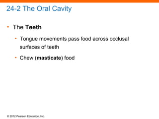 © 2012 Pearson Education, Inc.
24-2 The Oral Cavity
• The Teeth
• Tongue movements pass food across occlusal
surfaces of teeth
• Chew (masticate) food
 