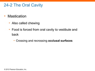 © 2012 Pearson Education, Inc.
24-2 The Oral Cavity
• Mastication
• Also called chewing
• Food is forced from oral cavity to vestibule and
back
• Crossing and recrossing occlusal surfaces
 