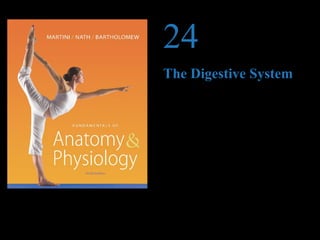 © 2012 Pearson Education, Inc.
PowerPoint®
Lecture Presentations prepared by
Jason LaPres
Lone Star College—North Harris
24
The Digestive System
 